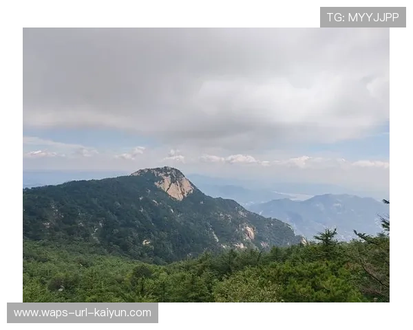 山东泰山整体节奏控制得非常精准 山东泰山整体节奏控制得非常精准